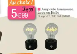 Kandy Ampoule lumineuse Love ou Hello offre