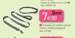 Kandy Laisse et collier pour chien réfléchissant offre