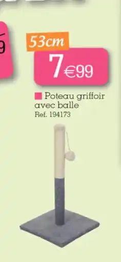 Kandy Poteau griffoir offre