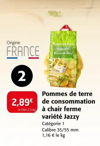 Colruyt Pommes de terre de consommation à chair ferme variété Jazzy offre