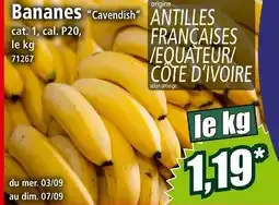 Norma Bananes cavendish offre