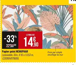 Bricorama Papier peint nenuphar offre
