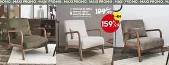 Maxi Bazar Fauteuil de salon velours côtelé offre