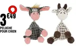 La Foir'Fouille Peluche pour chien offre