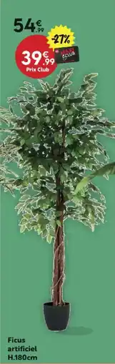 Maxi Bazar Ficus artificiel H.180cm offre