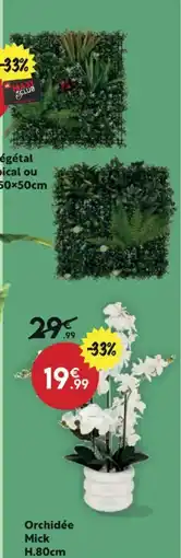 Maxi Bazar Orchidée Mick H.80cm offre