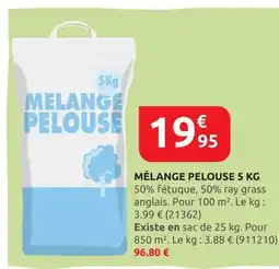 Rural Master Mélange Pelouse 5 KG offre