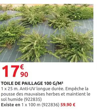 Rural Master TOILE DE PAILLAGE 100 G/M² offre