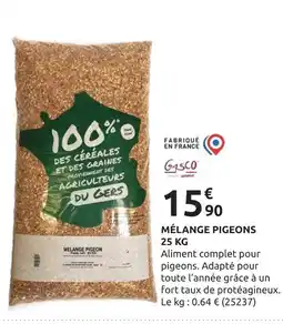 Rural Master Gasco Mélange Pigeons 25 KG offre
