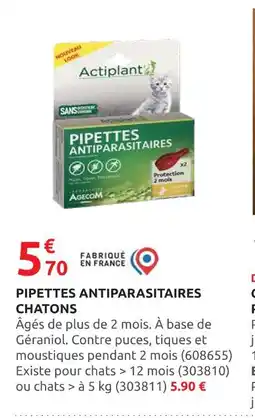 Rural Master Actiplant Pipettes antiparasitaires chatons offre
