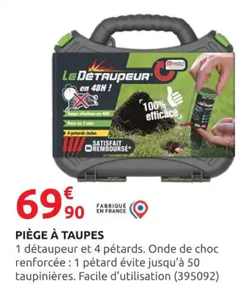 Rural Master Piège à taupes offre