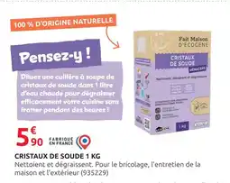 Rural Master Fait Maison D'Ecogene Cristaux de Soude 1 kg offre