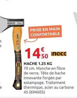 Rural Master INGCO Hache 1.25 kg offre