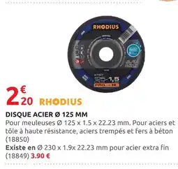 Rural Master RHODIUS DISQUE ACIER Ø 125 MM offre