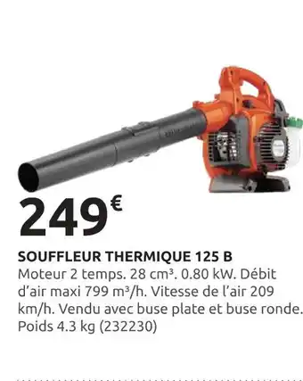 Rural Master Souffleur Thermique 125 B offre