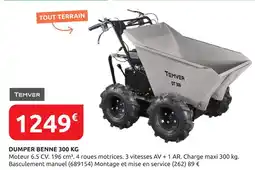 Rural Master TEMVER Dumper Benne 300 KG offre