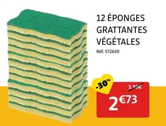 Gifi 12 éponges grattantes végétales offre