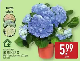 ALDI GARDENLINE Hortensia offre