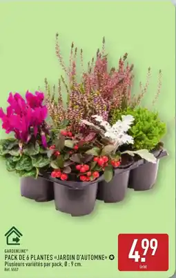 ALDI GARDENLINE Pack de 6 plantes «jardin d'automne offre