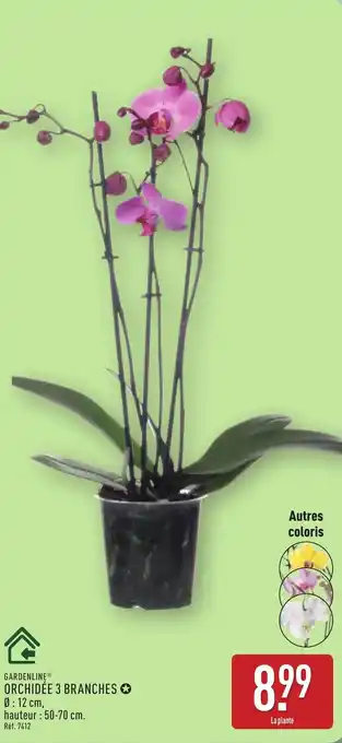 ALDI GARDENLINE Orchidée 3 branches offre