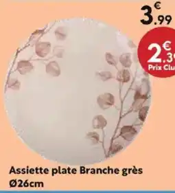 Maxi Bazar Assiette plate Branche grès 026cm offre