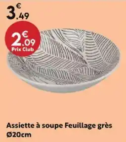 Maxi Bazar Assiette à soupe Feuillage grès 020cm offre