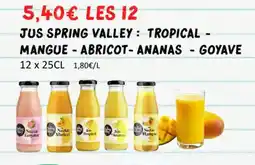 Hmarket Jus spring valley: tropical,mangue abricot,ananas - goyave offre