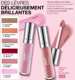 Stanhome DEWY LIP GLAZE Gloss effet repulpant offre