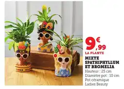 Bi1 Mixte spathiphyllum et bromelia offre