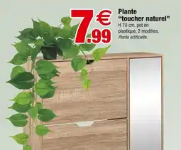 Bazarland Plante “toucher naturel” offre