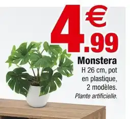 Bazarland Monstera offre