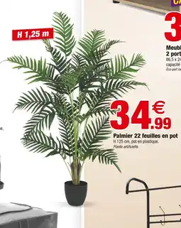 Bazarland Palmier 22 feuilles en pot offre