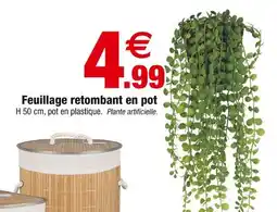Bazarland Feuillage retombant en pot offre