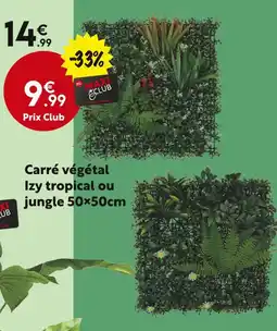 Maxi Bazar Carré végétal izy tropical ou jungle 50x50cm offre