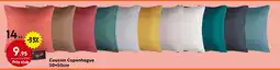 Maxi Bazar Coussin Copenhague 50x50cm offre
