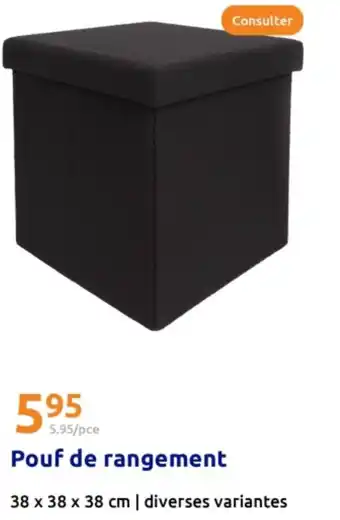 Action Pouf de rangement offre