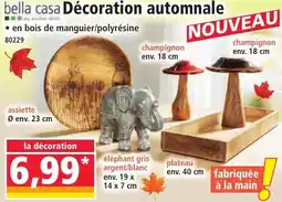 Norma Décoration automnale offre