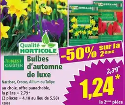 Norma Bulbes d'automne de luxe offre