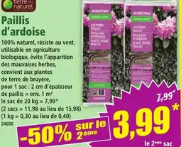 Norma Paillis d'ardoise offre