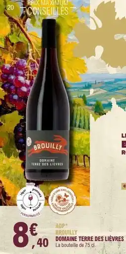 E.Leclerc Brouilly Domaine Terre des Lièvres offre