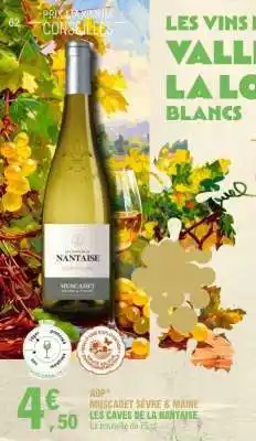 E.Leclerc Muscadet Sèvre & Maine Les Caves de la Nantaise offre