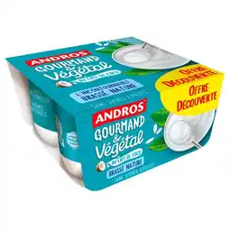 Carrefour ANDROS Dessert Brassé Végétal Offre Découverte offre