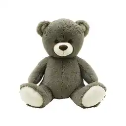 Carrefour S & F PLUSH Ours 65 cm offre