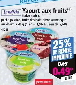 Norma Landfein Yaourt aux fruits offre
