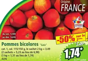 Norma Pommes bicolores Gala offre