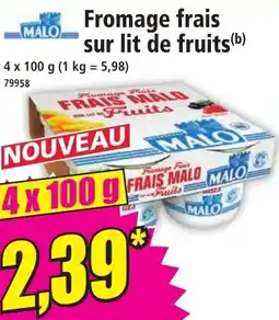 Norma Malo Fromage frais sur lit de fruits offre