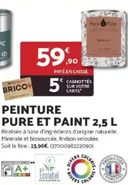 Bricomarché Peinture pure et paint offre