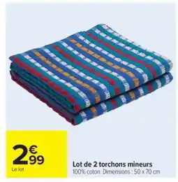 Carrefour Market Lot de 2 torchons mineurs offre
