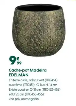Truffaut Cache-pot madeira edelman offre