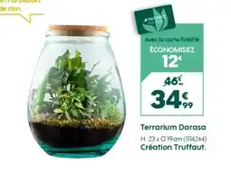 Truffaut Terrarium darasa offre